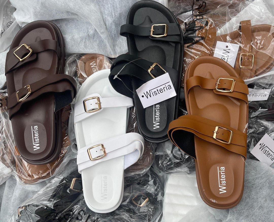 Wisteria Slides
