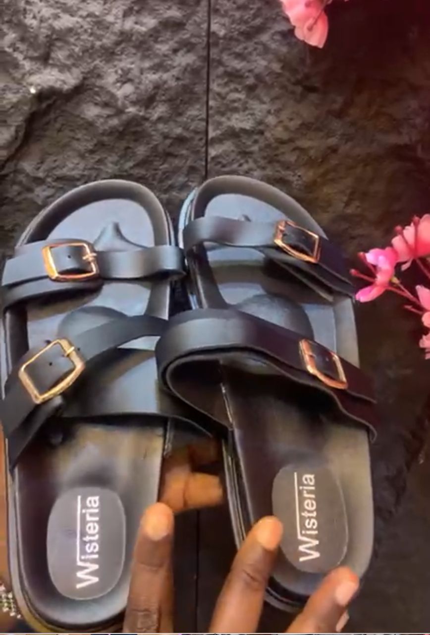 Wisteria Slides